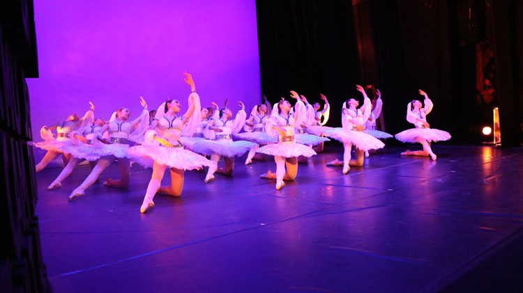 El 31 de diciembre termina el plazo para la preinscripción del curso Didáctica del Ballet Clásico: Pedagogía de Puntas