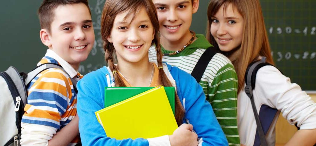 El Ministerio de Educación retira los proyectos de Real Decreto de requisitos mínimos y de centros extranjeros